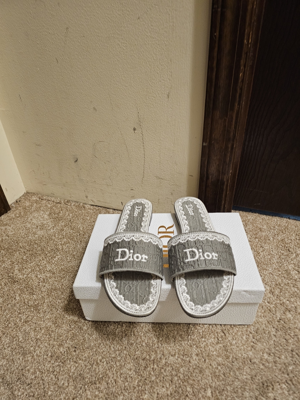 Dior Women Gray Slide Sandals